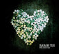 Alkaline Trio- This Addiction