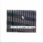 Mitski- Bury Me At Makeout Creek