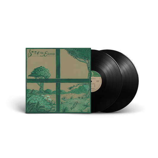 Dirty Projectors, David Longstreth, s t a r g a z e- Song of the Earth