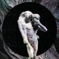 Arcade Fire- Reflektor